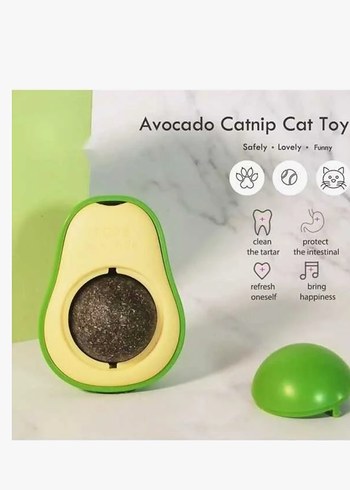  Beden Renk Kedi malzemeleri