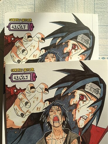 Naruto 43