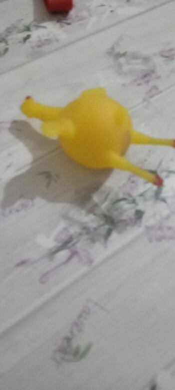 Yumurtlayan tavuk