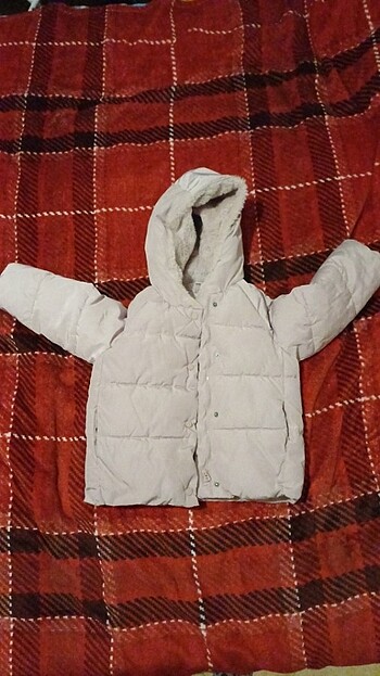 Zara mont
