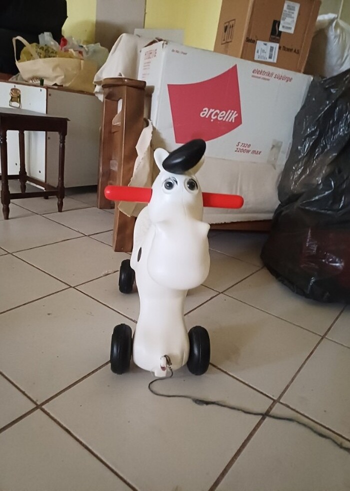 Sallanan at - Görsel 2