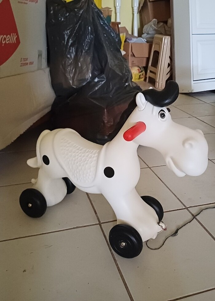 Sallanan at - Görsel 4