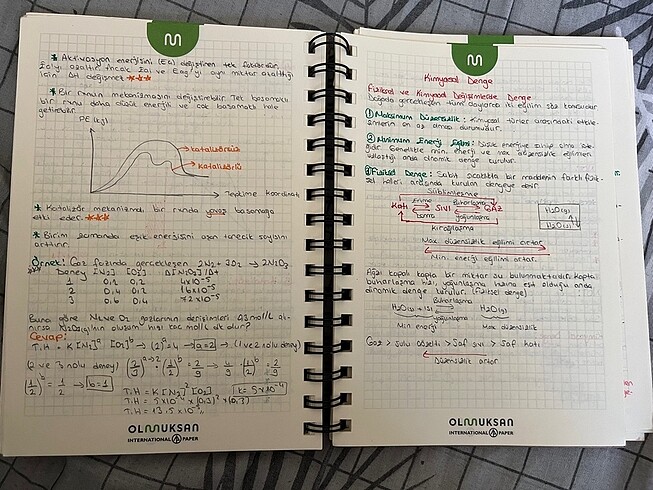 Beden Renk Ders Notları