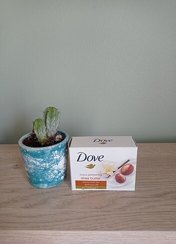 Dove sabun