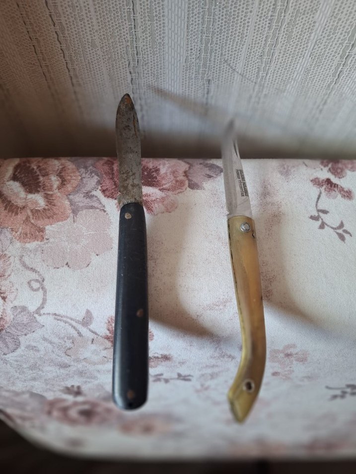 Bej ve Siyah Saplı İki Bıçak - Görsel 3