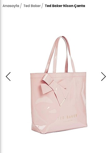 Ted Baker canta