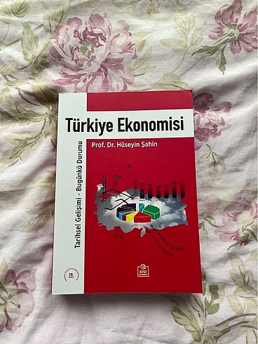 Türkiye Ekonomisi - Prof. Dr. Hüseyin Şahin (Ezgi Kitabevi)