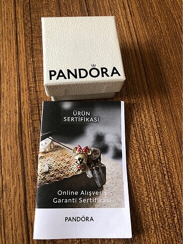 Beden Pandora Disney charm
