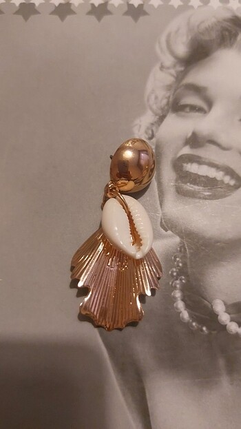 Deniz kabuklu kupe - Görsel 3