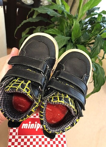 Zara Minipicco bot