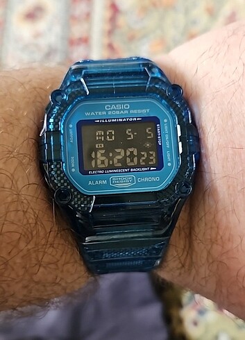 Casio DW-5600SN G-Shock