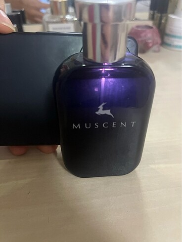  Beden MUSCENT KAYALLİ 28
