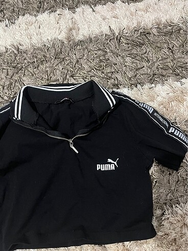 Puma Puma crop