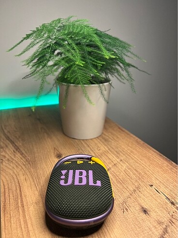 JBL CLİP 4