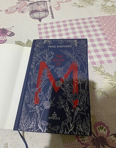  THE BOOK OF M