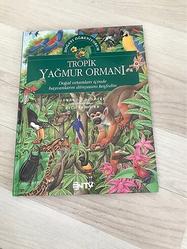 Tropik yağmur ormanı