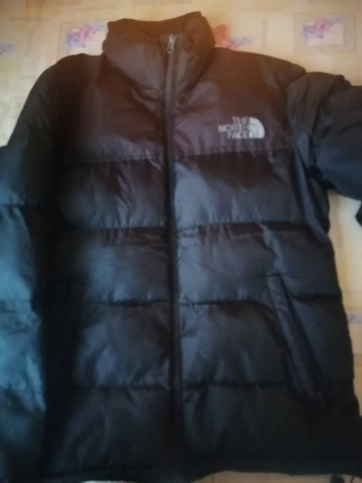 The North Face Siyah Erkek  Mont - Görsel 5