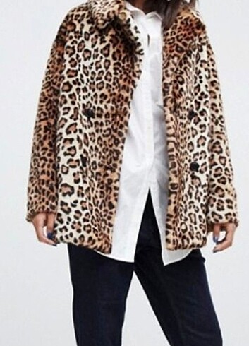 Leopar kaban