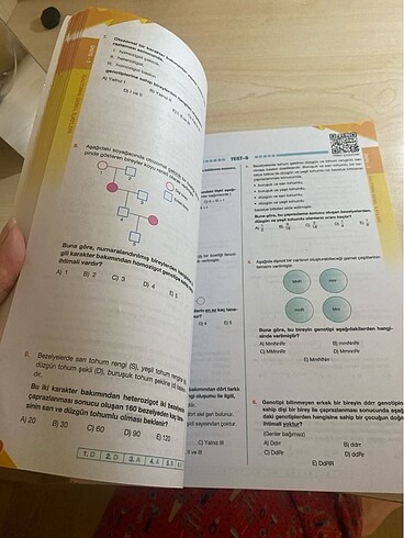 10.sınıf biyoloji testi palme - Görsel 5