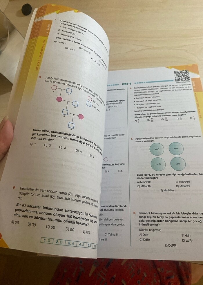 10.sınıf biyoloji testi palme - Görsel 5