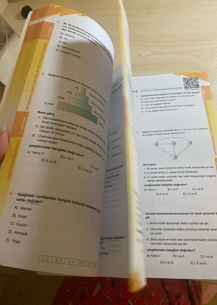 10.sınıf biyoloji testi palme - Görsel 4
