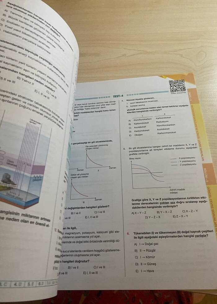 10.sınıf biyoloji testi palme - Görsel 3