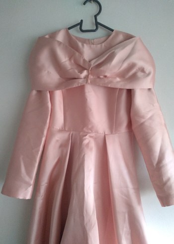 Pembe Vintage Uzun Kollu Drapeli Kadın Elbise - Görsel 2