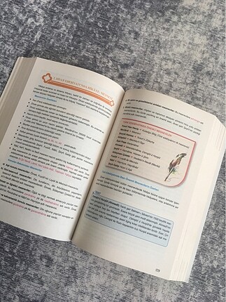 s Beden kırmızı Renk Ayt Yayın Denizi Edebiyat