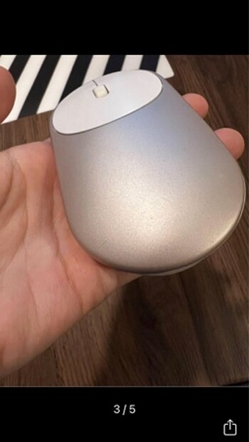 Mouse