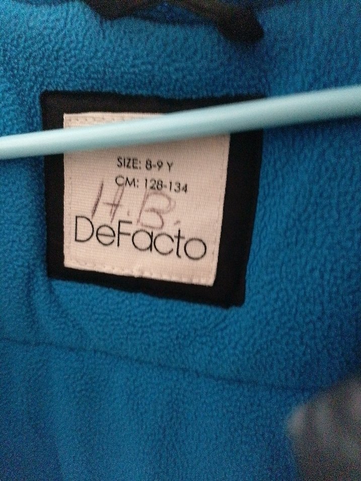 Erkek Çocuk Mavi Baskılı Kapüşonlu Mont - Görsel 4