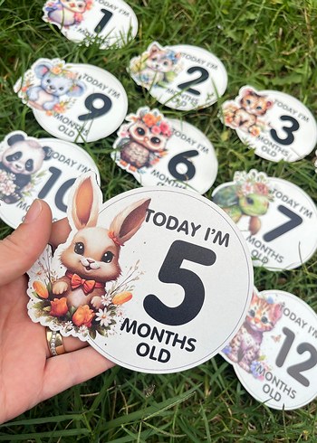 Renkli Bebek Ay Kartları Seti Ahşap - Görsel 5