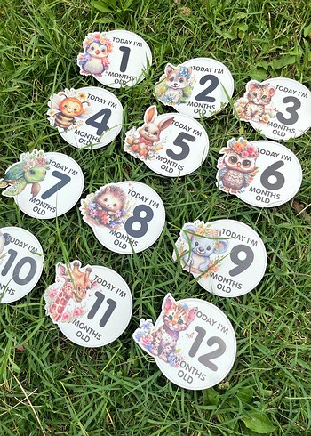 Renkli Bebek Ay Kartları Seti Ahşap - Görsel 7