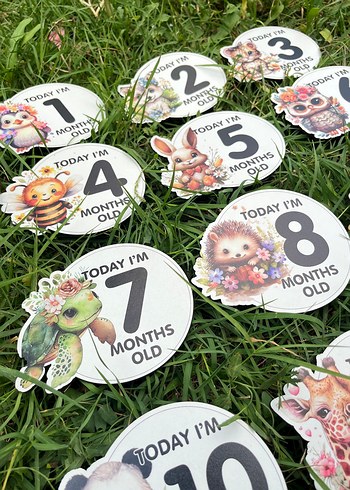 Renkli Bebek Ay Kartları Seti Ahşap - Görsel 6