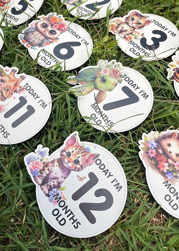 Renkli Bebek Ay Kartları Seti Ahşap - Görsel 9