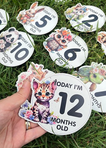 Renkli Bebek Ay Kartları Seti Ahşap - Görsel 4