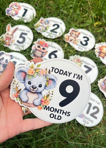 Renkli Bebek Ay Kartları Seti Ahşap - Görsel 3