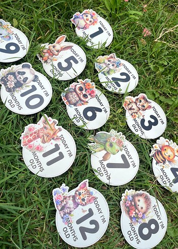 Renkli Bebek Ay Kartları Seti Ahşap - Görsel 8