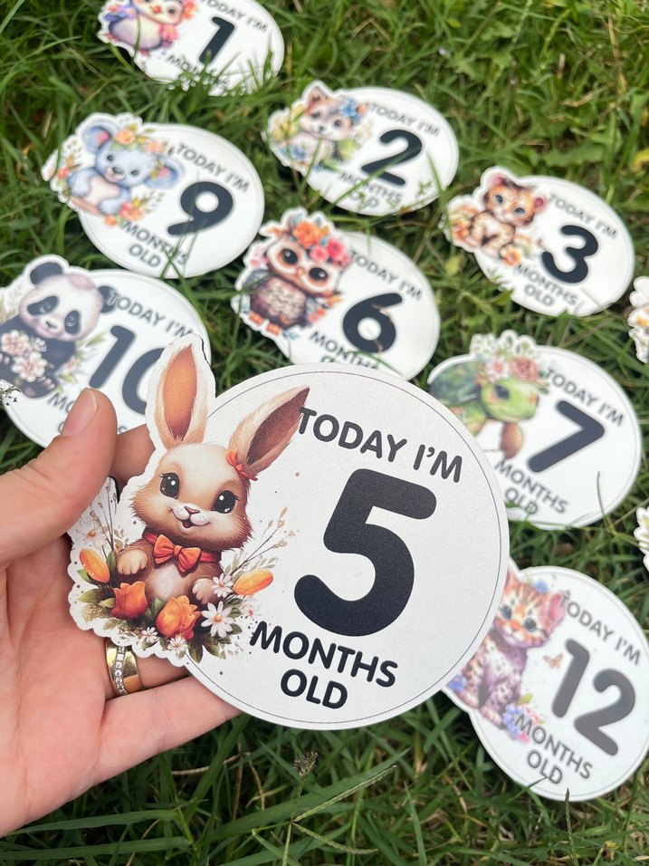 Renkli Bebek Ay Kartları Seti Ahşap - Görsel 5