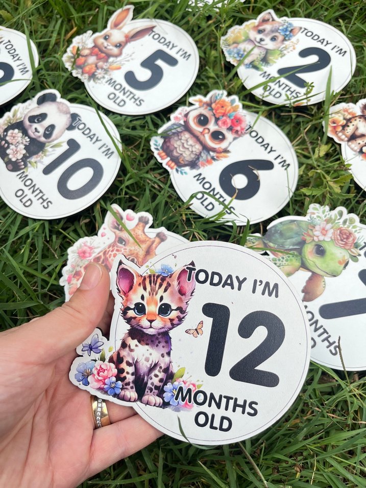 Renkli Bebek Ay Kartları Seti Ahşap - Görsel 4