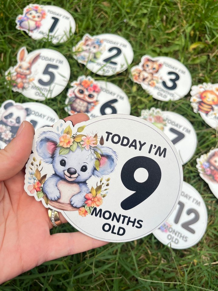 Renkli Bebek Ay Kartları Seti Ahşap - Görsel 3