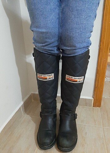 Harley davidson