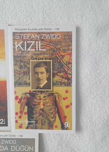  Beden Stefan Zweig Roman Seti: Mecburiyet, Kızıl, Lyon'da Düğün