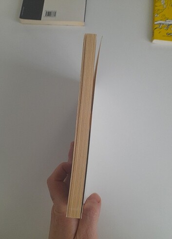 İçimizde Bir Yer - Ahmet Altan - Görsel 3