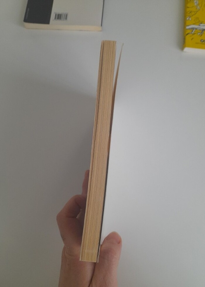 İçimizde Bir Yer - Ahmet Altan - Görsel 3