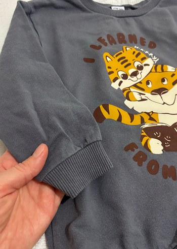 Erkek Çocuk Baskılı Sweatshirt 2 li - Görsel 4