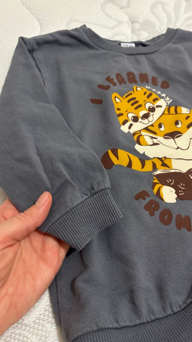 Erkek Çocuk Baskılı Sweatshirt 2 li - Görsel 4