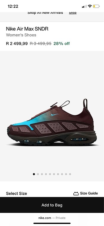 Nike Nike Air Max SNDR Burgundy/Blue