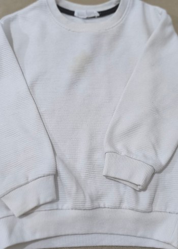 4 Yaş Beden çeşitli Renk Erkek Çocuk Uzun Kollu Pamuklu Sweatshirt