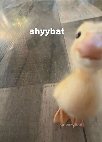 dkcopdşf