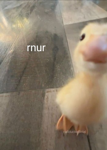 admcxlmakx